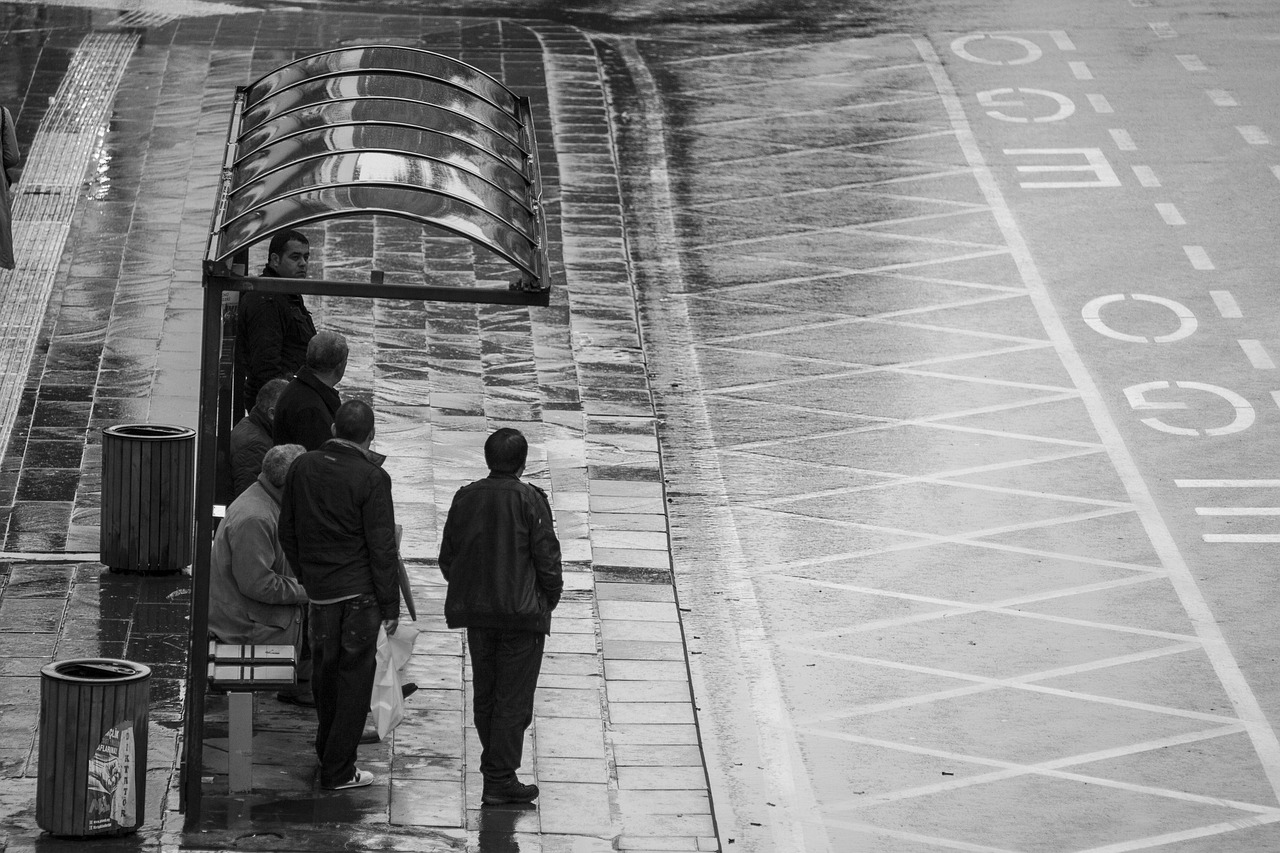 三國志最新版本的演變、特點與更新動態(tài)揭秘！