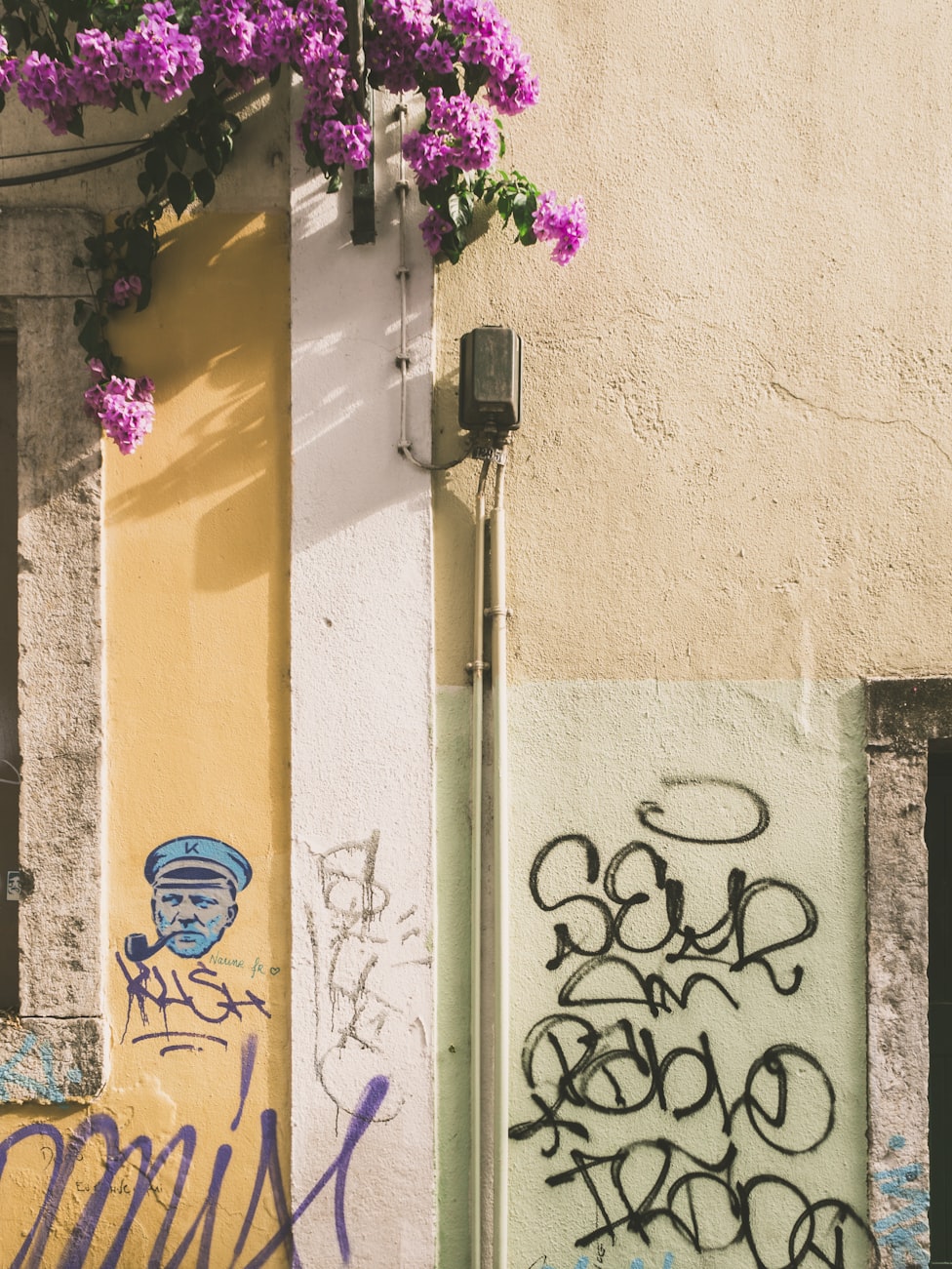 大橙先生 第4頁(yè)