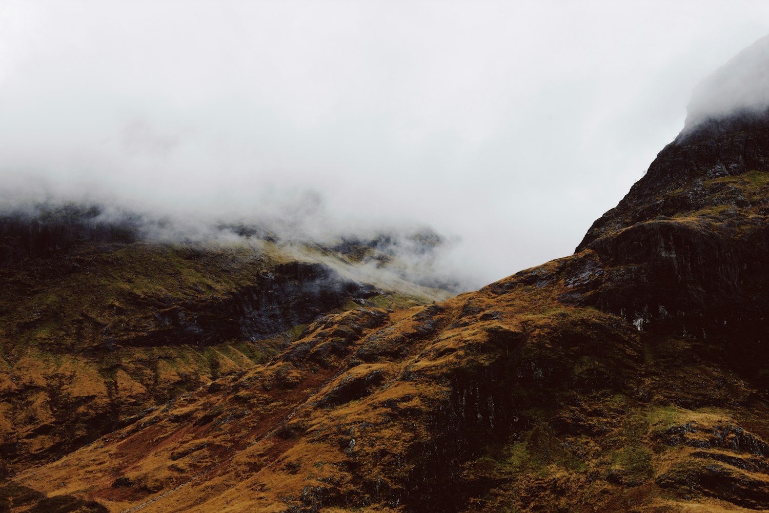 韓國(guó)明星鐘淑最新動(dòng)態(tài)揭秘