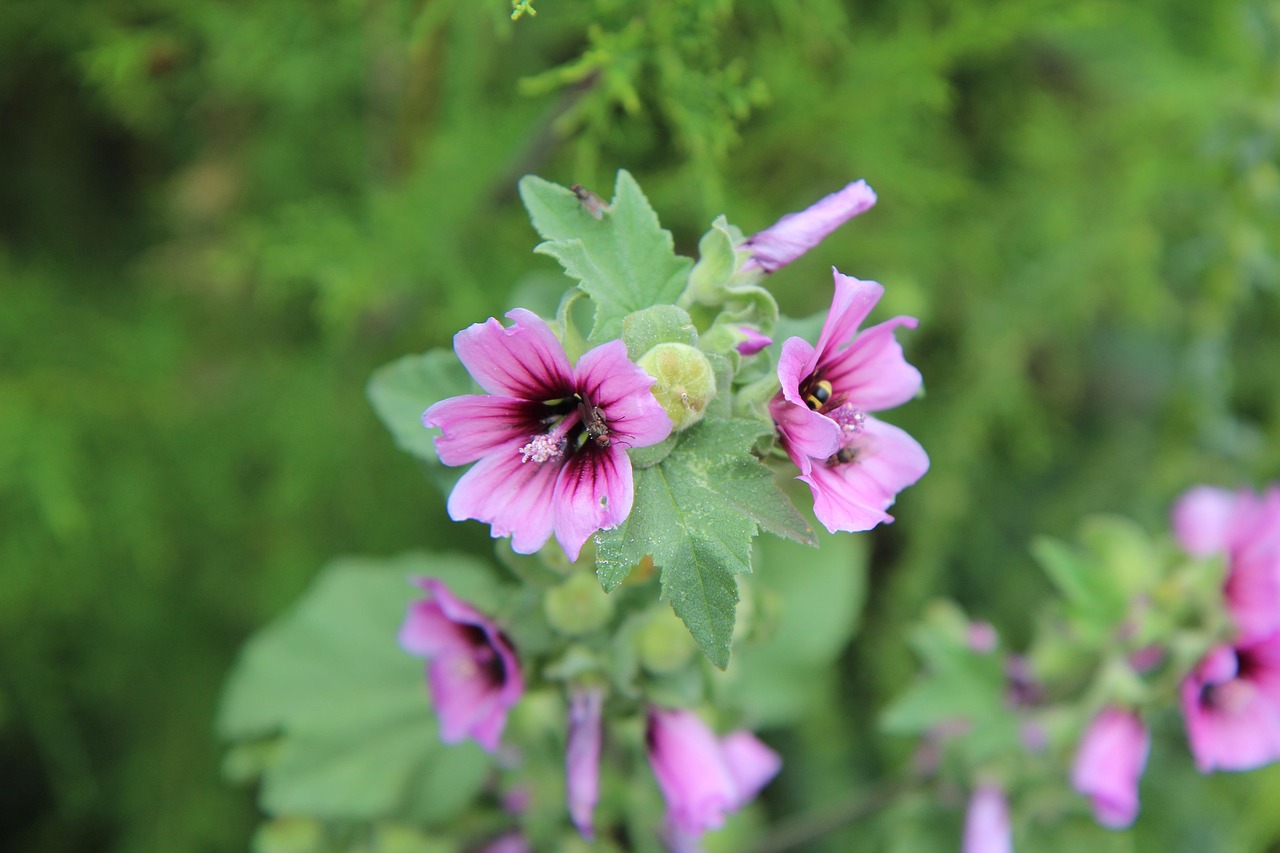 南京最新招聘動(dòng)態(tài)及其地區(qū)影響分析