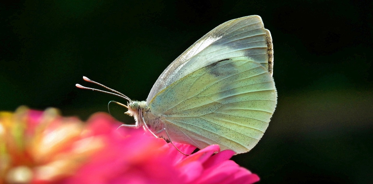 江蘇濱海最新資訊概覽，濱海動(dòng)態(tài)一網(wǎng)打盡