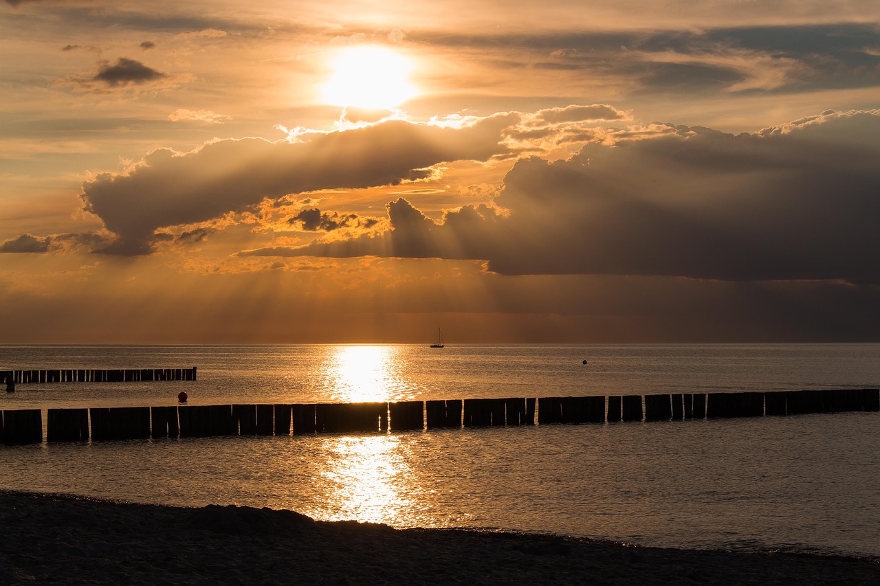娛樂直播盛宴前瞻，最新動態(tài)與前沿直播預告一網(wǎng)打盡