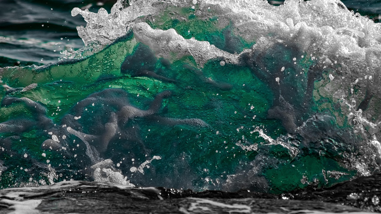 小牡蠣資訊，揭秘海洋世界的秘密與機(jī)遇