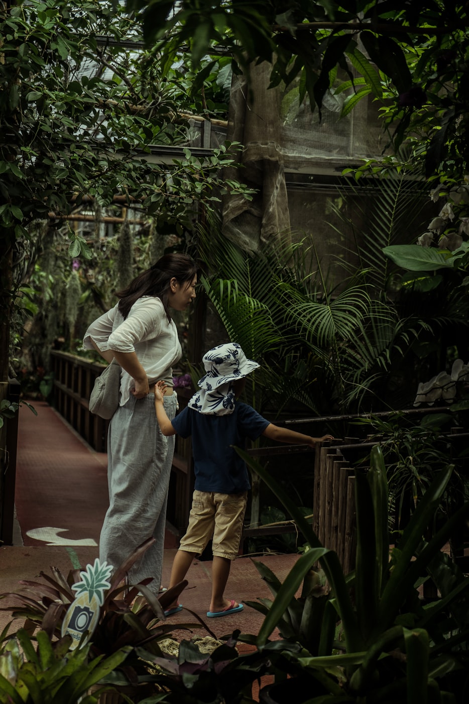 表妹與倫理電影的交織情感探索，倫理邊界的挑戰(zhàn)與情感糾葛