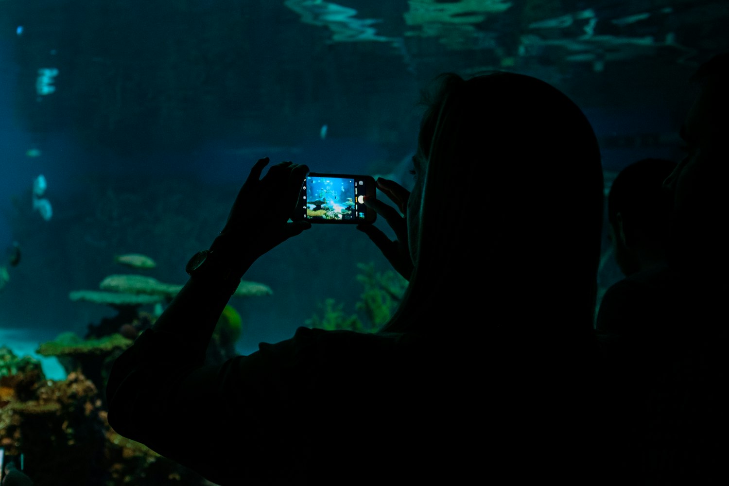 探索時代前沿的科技魅力，最新精選佳作分享