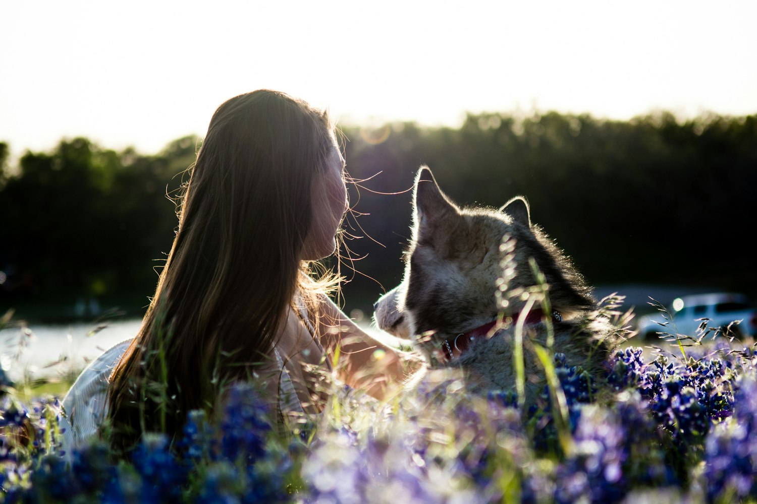 電影朋友的女友，友情與愛情的交織旅程