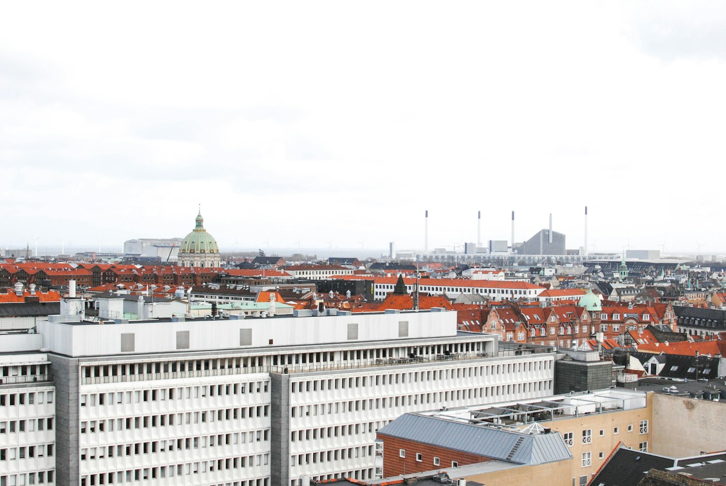 盧鑫玉浩最新動態(tài)揭秘，喜劇之路探索無限可能