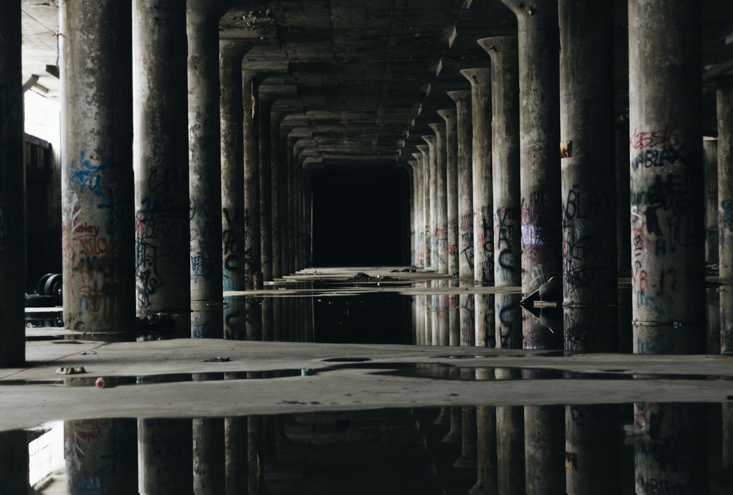 倩倩新動(dòng)態(tài)，探索無(wú)限可能的旅程