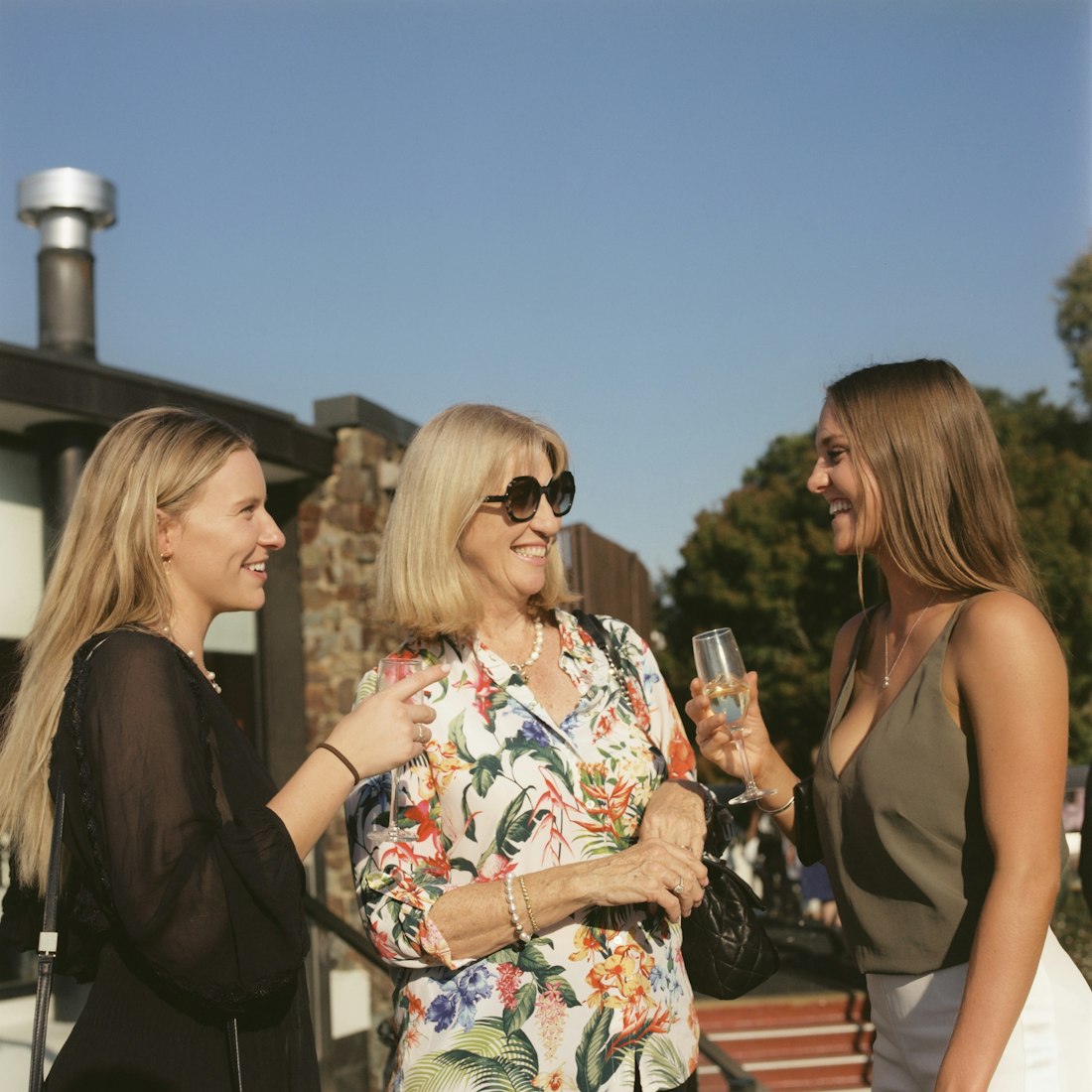 鼎演員，演藝之路的閃耀之星