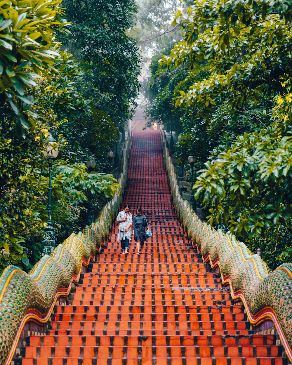 蘇州房?jī)r(jià)大幅下跌動(dòng)態(tài)揭秘，市場(chǎng)分析與趨勢(shì)預(yù)測(cè)