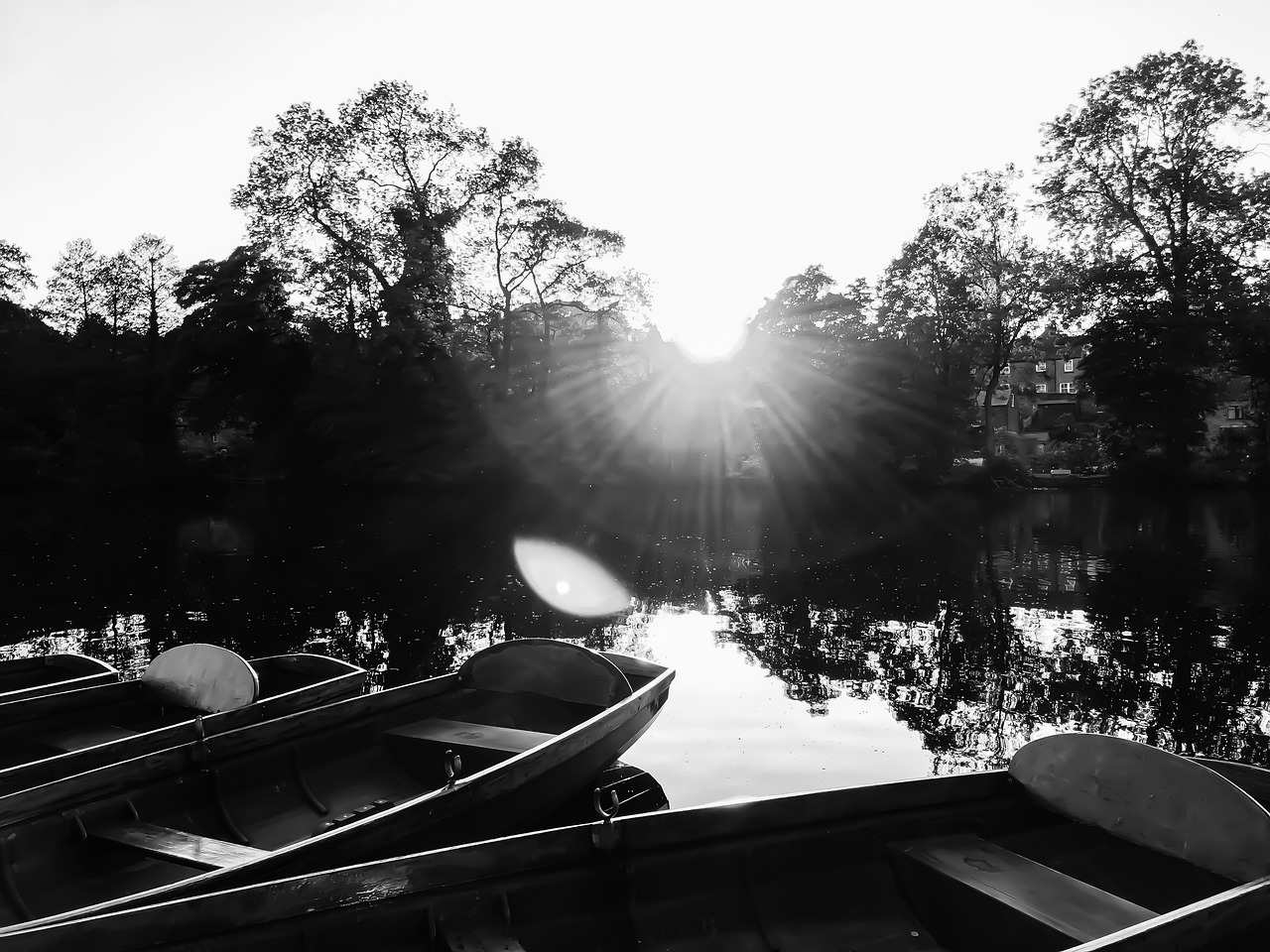 安貝爾花園最新動態(tài)更新