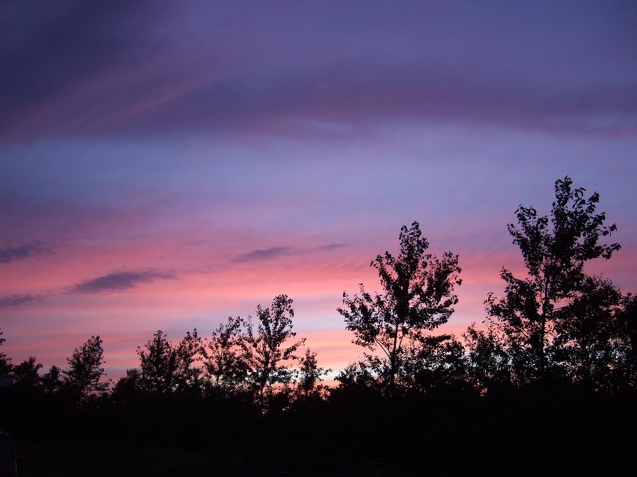 后來電影，重塑影視藝術(shù)魅力，展望未來發(fā)展