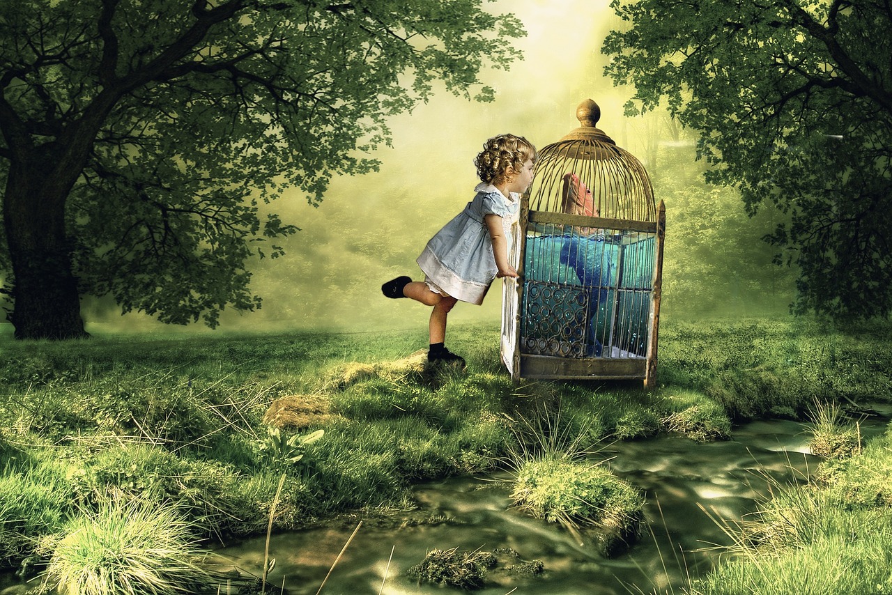 烏鴉動漫圖片的魅力與深遠(yuǎn)影響