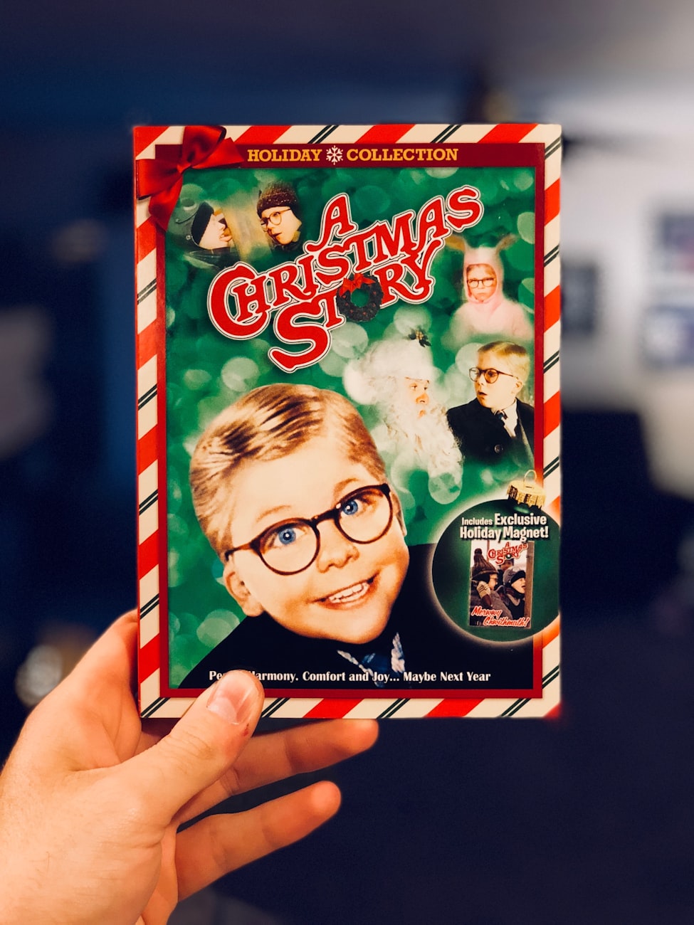 電影老人與狗，時光深處的溫情與忠誠之旅