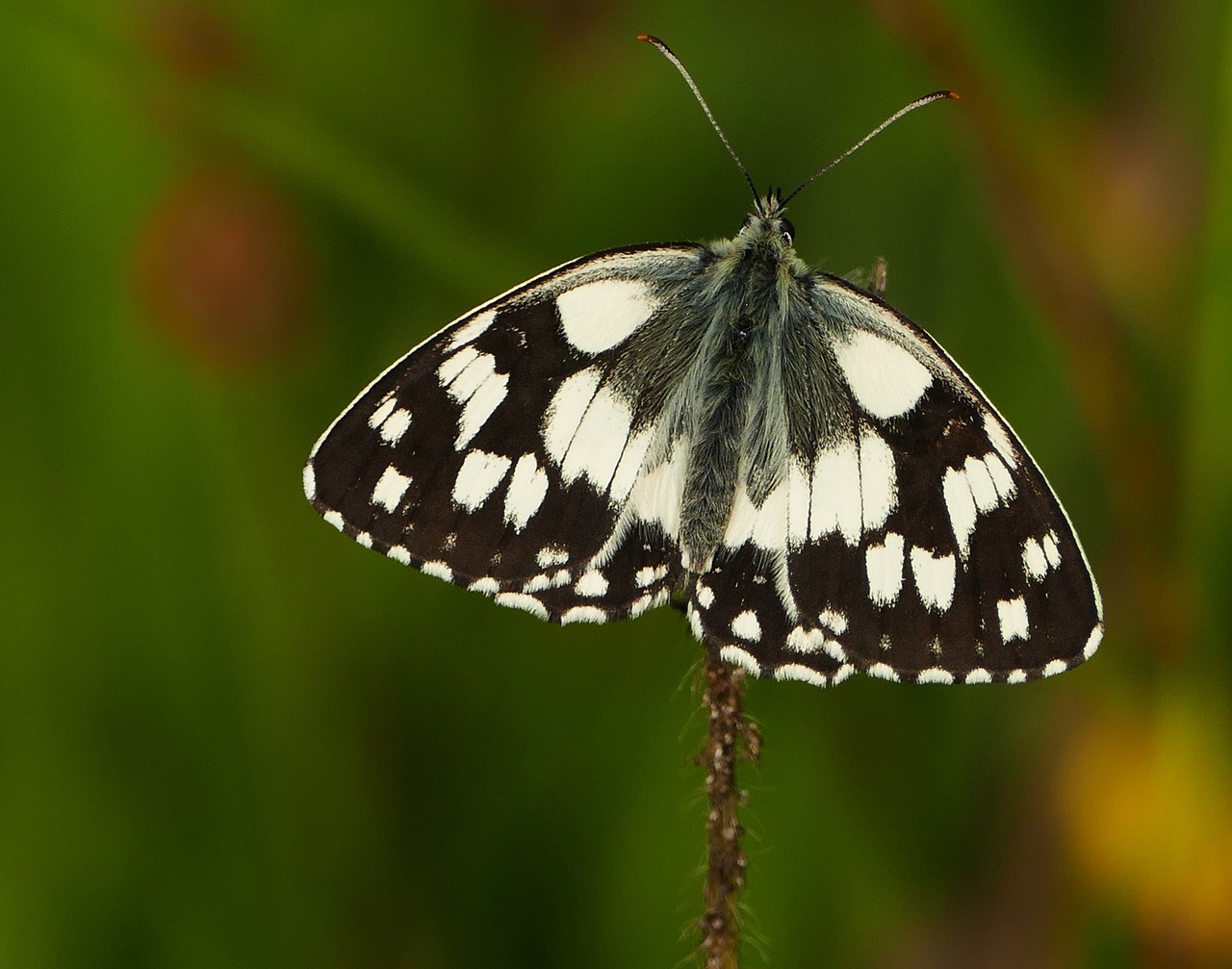 興業(yè)縣房產(chǎn)最新價(jià)格動(dòng)態(tài)及市場(chǎng)趨勢(shì)深度解析
