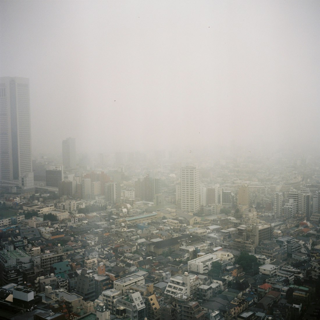 公路電影，自由之路的影像藝術(shù)探索