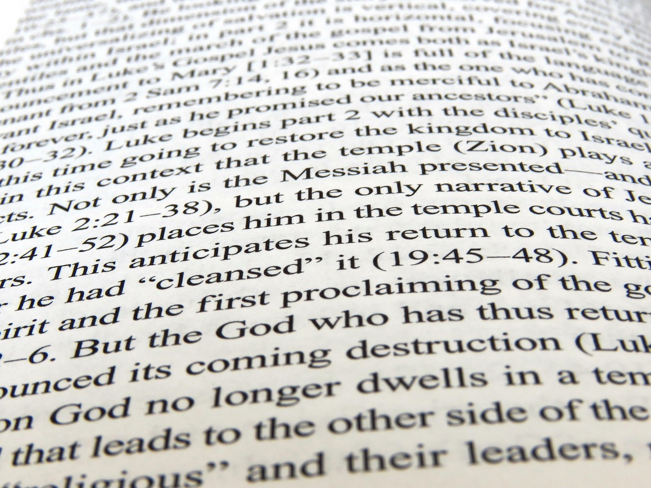 豬手資訊，美食探索與行業(yè)動態(tài)深度剖析