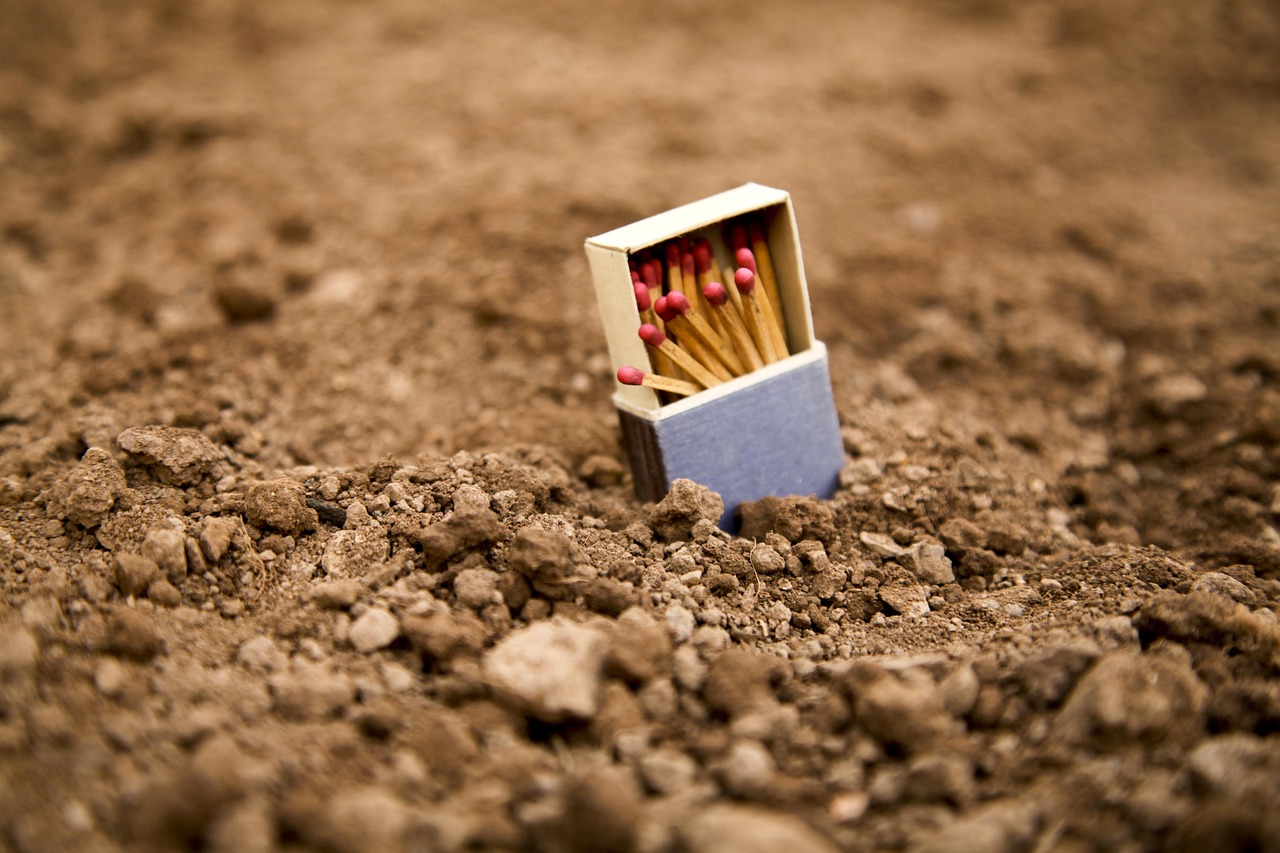 內鄉(xiāng)疫情動態(tài)，堅守與希望的力量的故事