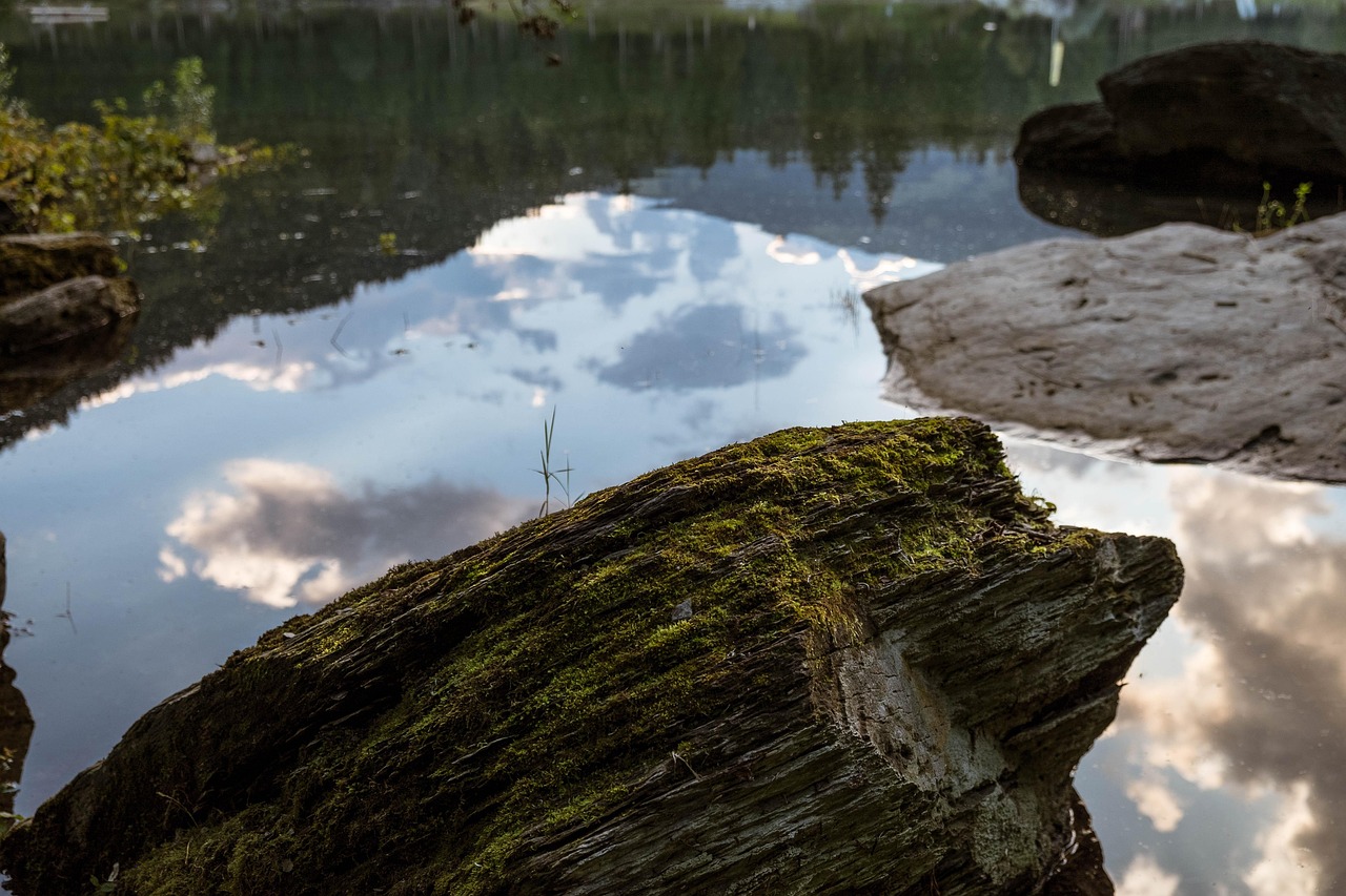 七樂彩最新動態(tài)解析與玩法指南