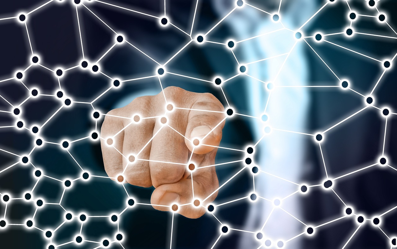 荔枝行情深度解析，2017年的市場表現(xiàn)與趨勢分析