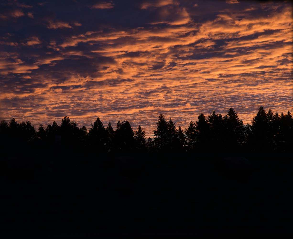 抖音最新動(dòng)態(tài)，潮流先鋒，未來(lái)趨勢(shì)探索