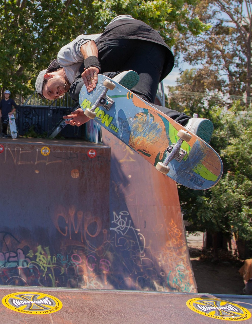民生鳳凰城動態(tài)更新，城市發(fā)展與民生福祉的同步邁進
